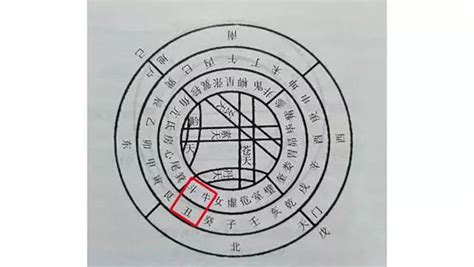 乙丑 五行|八字干支解读——乙丑：一组充满矛盾的干支，能弯能直，可柔可。